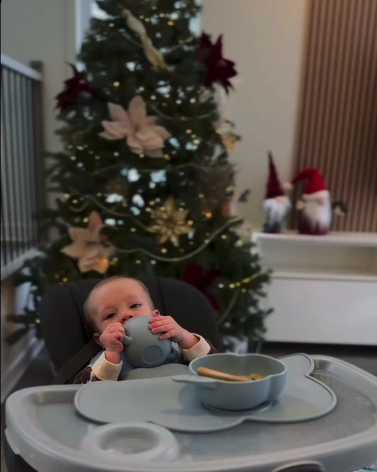 EleFeast Set | Value $70